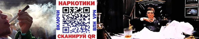 Купить наркотики сайты Шали KRAKEN ТОР  МЕТАДОН  ГАШИШ  Конопля 