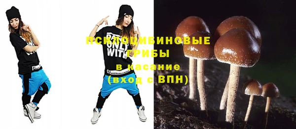 PSILOCYBIN Аркадак