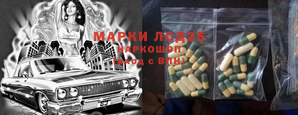 PSILOCYBIN Аркадак